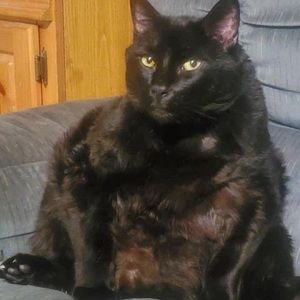 Meet your Posher, Bobby